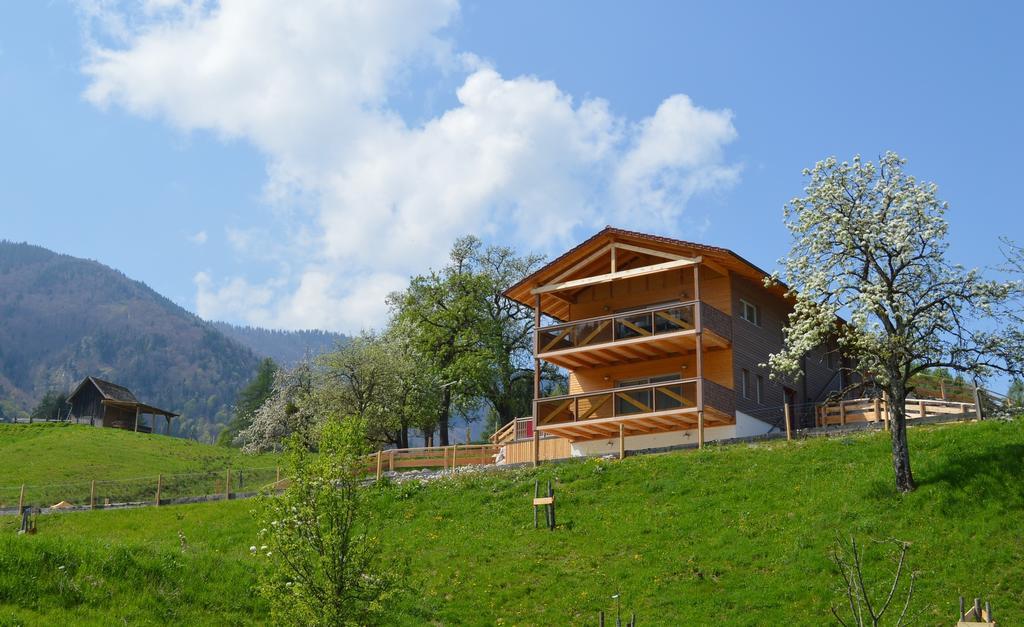 Ferienhaus Schwarzenbach Steinbach am Ziehberg Ngoại thất bức ảnh